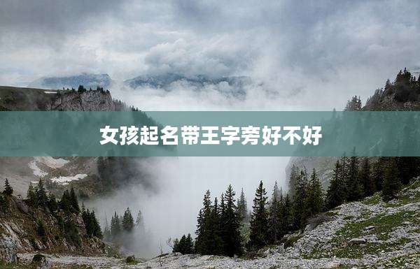 女孩起名带王字旁好不好