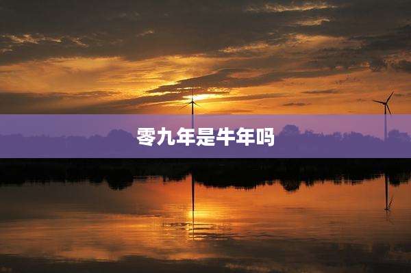 零九年是牛年吗