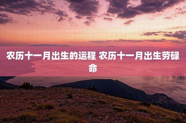 农历十一月出生的运程 农历十一月出生劳碌命