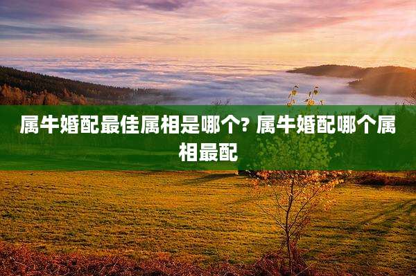 属牛婚配最佳属相是哪个? 属牛婚配哪个属相最配