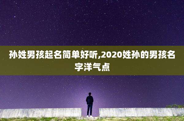 孙姓男孩起名简单好听,2020姓孙的男孩名字洋气点