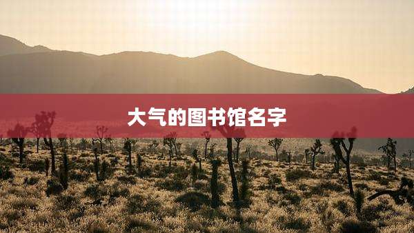 大气的图书馆名字