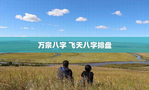 万宗八字 飞天八字排盘