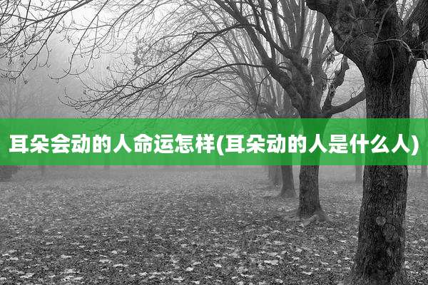 耳朵会动的人命运怎样(耳朵动的人是什么人)