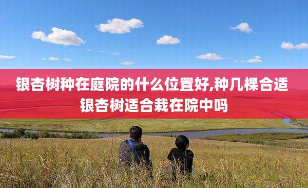 银杏树种在庭院的什么位置好,种几棵合适 银杏树适合栽在院中吗