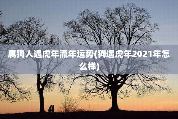 属狗人遇虎年流年运势(狗遇虎年2021年怎么样)