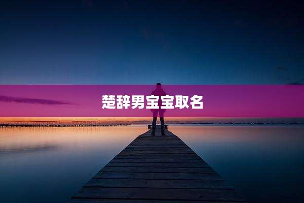 楚辞男宝宝取名