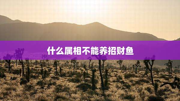 什么属相不能养招财鱼