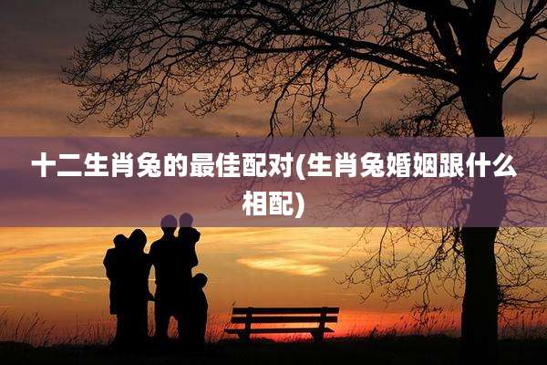 十二生肖兔的最佳配对(生肖兔婚姻跟什么相配)