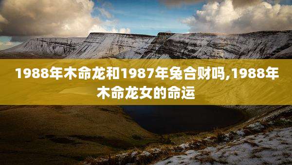 1988年木命龙和1987年兔合财吗,1988年木命龙女的命运