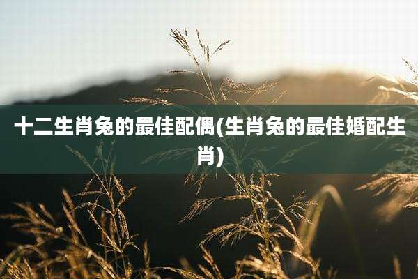 十二生肖兔的最佳配偶(生肖兔的最佳婚配生肖)