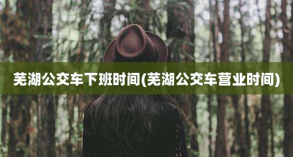 芜湖公交车下班时间(芜湖公交车营业时间)