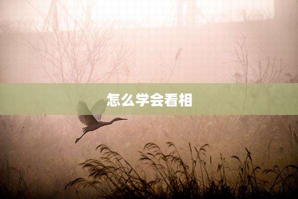 怎么学会看相
