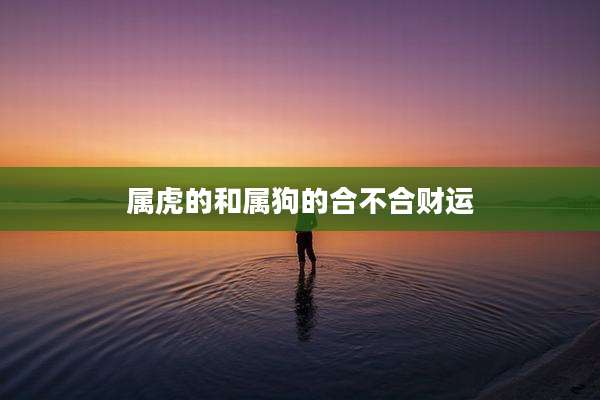 属虎的和属狗的合不合财运