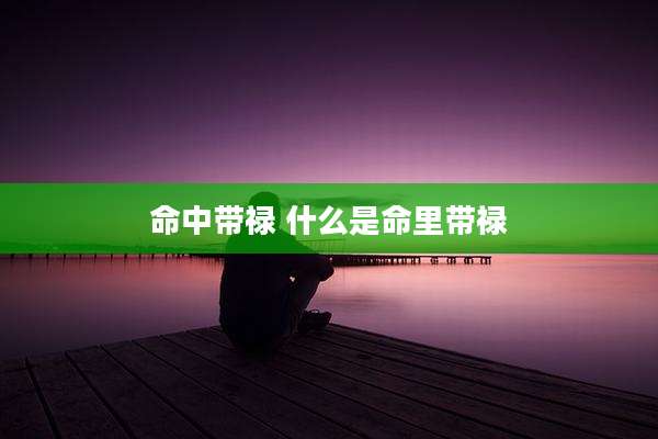 命中带禄 什么是命里带禄