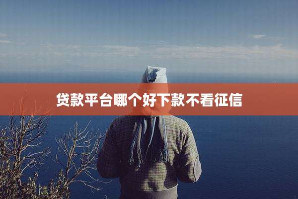 贷款平台哪个好下款不看征信