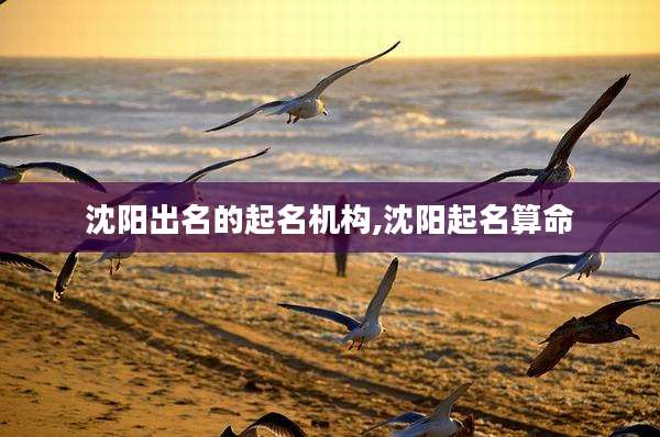 沈阳出名的起名机构,沈阳起名算命