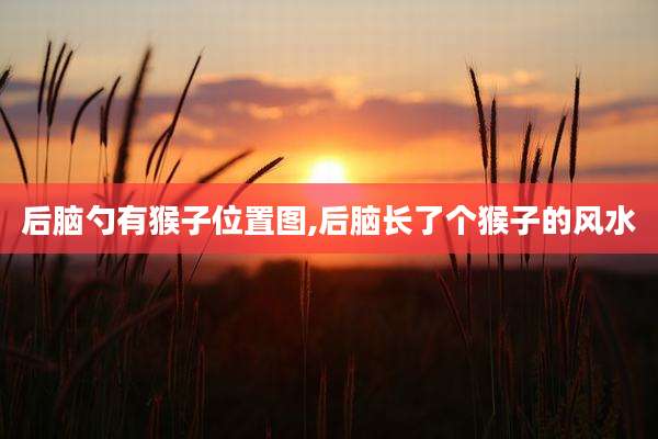 后脑勺有猴子位置图,后脑长了个猴子的风水