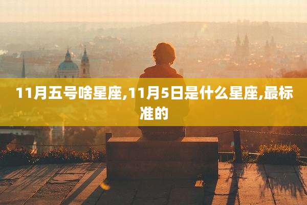 11月五号啥星座,11月5日是什么星座,最标准的