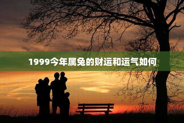 1999今年属兔的财运和运气如何