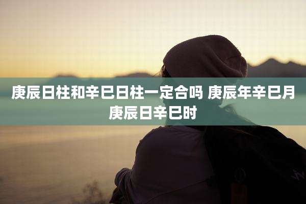 庚辰日柱和辛巳日柱一定合吗 庚辰年辛巳月庚辰日辛巳时