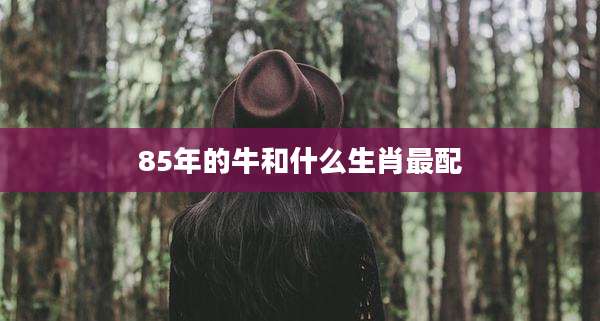 85年的牛和什么生肖最配