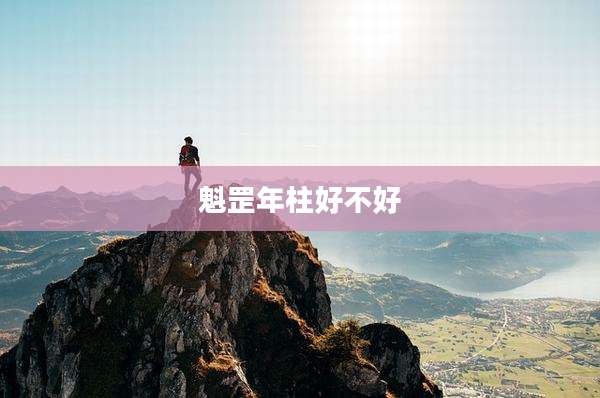 魁罡年柱好不好
