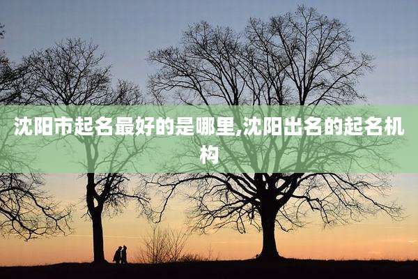 沈阳市起名最好的是哪里,沈阳出名的起名机构
