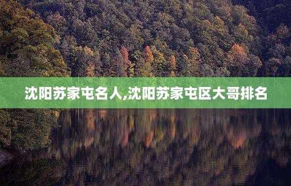 沈阳苏家屯名人,沈阳苏家屯区大哥排名