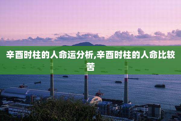 辛酉时柱的人命运分析,辛酉时柱的人命比较苦