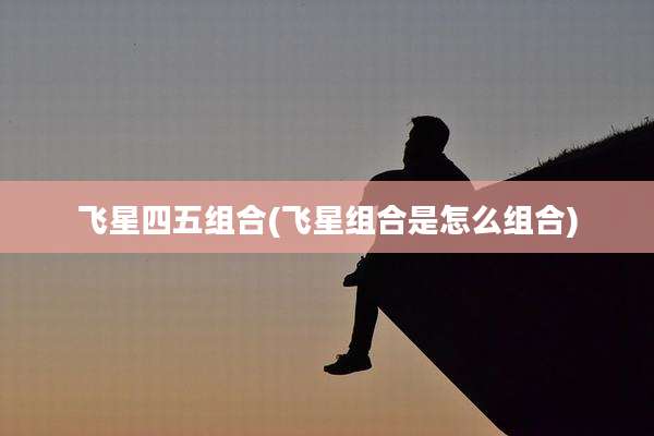 飞星四五组合(飞星组合是怎么组合)