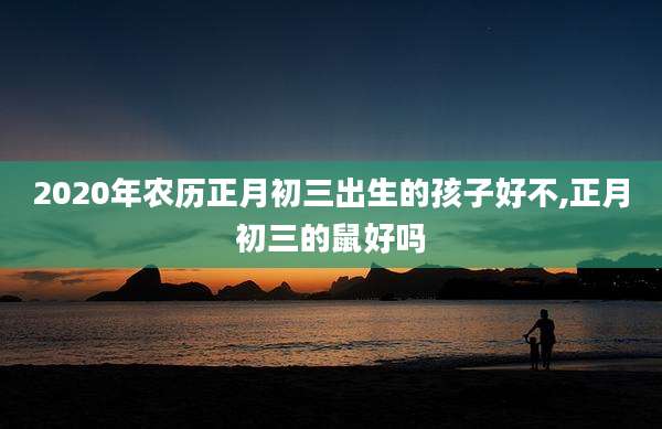 2020年农历正月初三出生的孩子好不,正月初三的鼠好吗