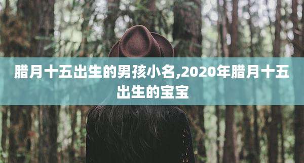 腊月十五出生的男孩小名,2020年腊月十五出生的宝宝