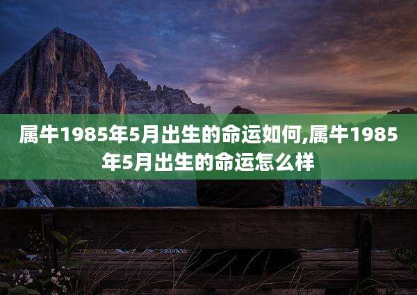 属牛1985年5月出生的命运如何,属牛1985年5月出生的命运怎么样