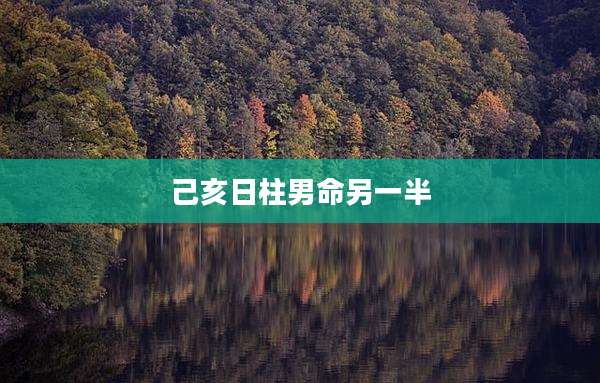己亥日柱男命另一半