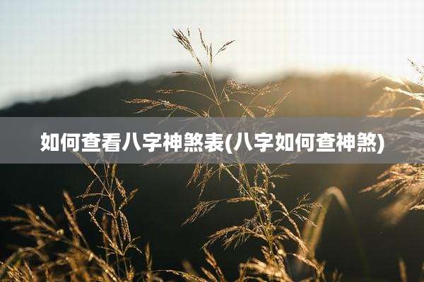 如何查看八字神煞表(八字如何查神煞)