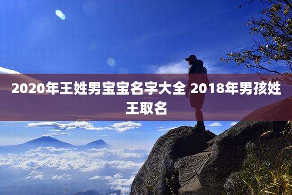 2020年王姓男宝宝名字大全 2018年男孩姓王取名