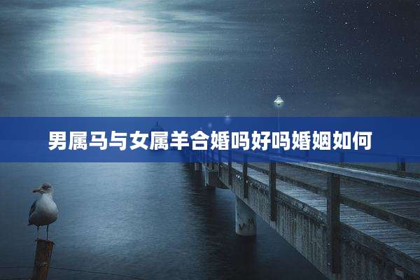 男属马与女属羊合婚吗好吗婚姻如何