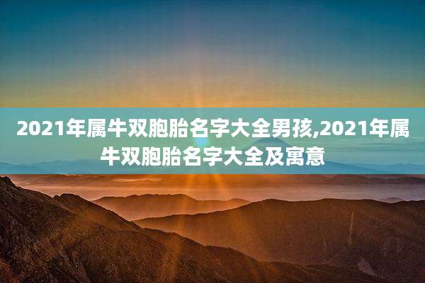 2021年属牛双胞胎名字大全男孩,2021年属牛双胞胎名字大全及寓意