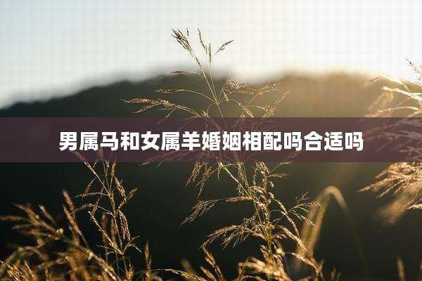 男属马和女属羊婚姻相配吗合适吗