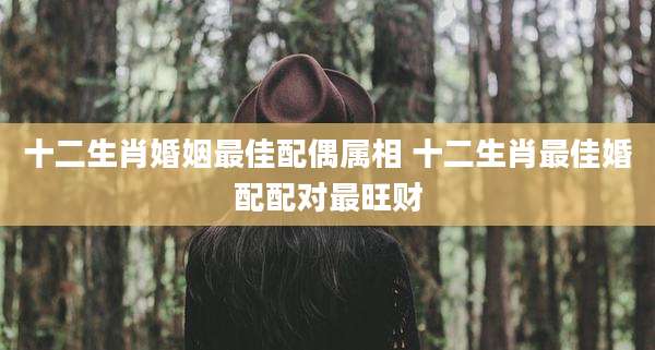 十二生肖婚姻最佳配偶属相 十二生肖最佳婚配配对最旺财