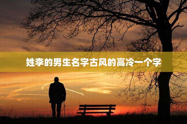 姓李的男生名字古风的高冷一个字