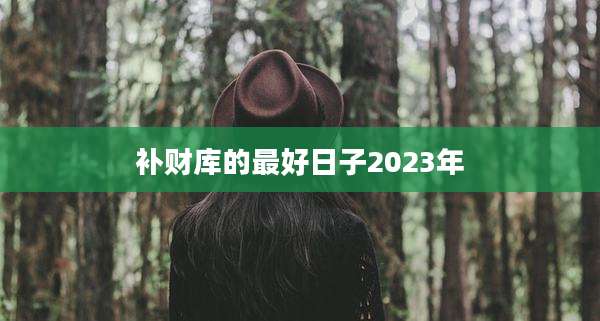 补财库的最好日子2023年