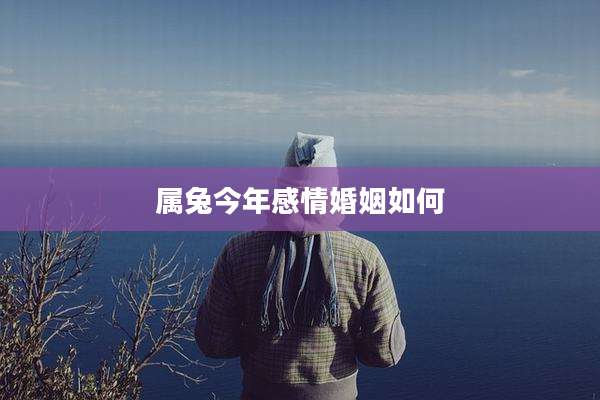 属兔今年感情婚姻如何