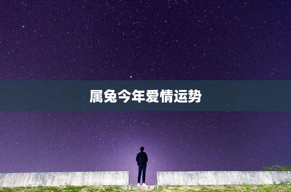 属兔今年爱情运势