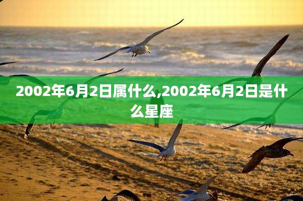 2002年6月2日属什么,2002年6月2日是什么星座