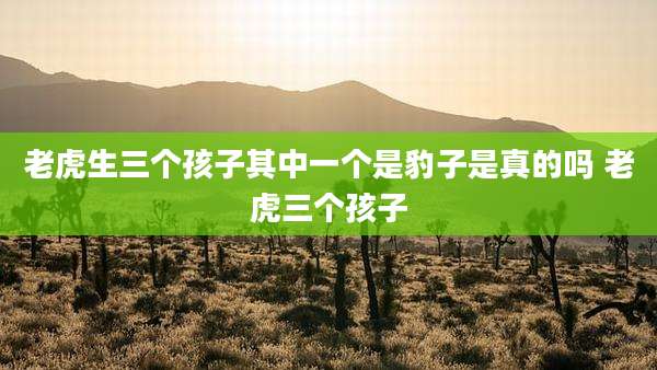 老虎生三个孩子其中一个是豹子是真的吗 老虎三个孩子