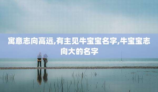 寓意志向高远,有主见牛宝宝名字,牛宝宝志向大的名字
