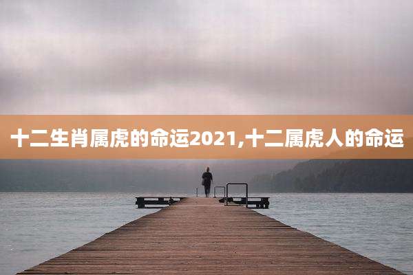十二生肖属虎的命运2021,十二属虎人的命运