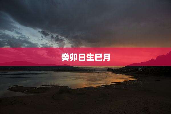 癸卯日生巳月